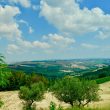 Lorese_image02-Property-Le-Marche