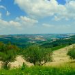 Lorese_image08-Marche-Properties