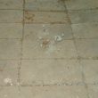 Lorese_image13-Property-For-Sale-Marche