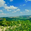 Lorese_image16-Property-For-Sale-Marche
