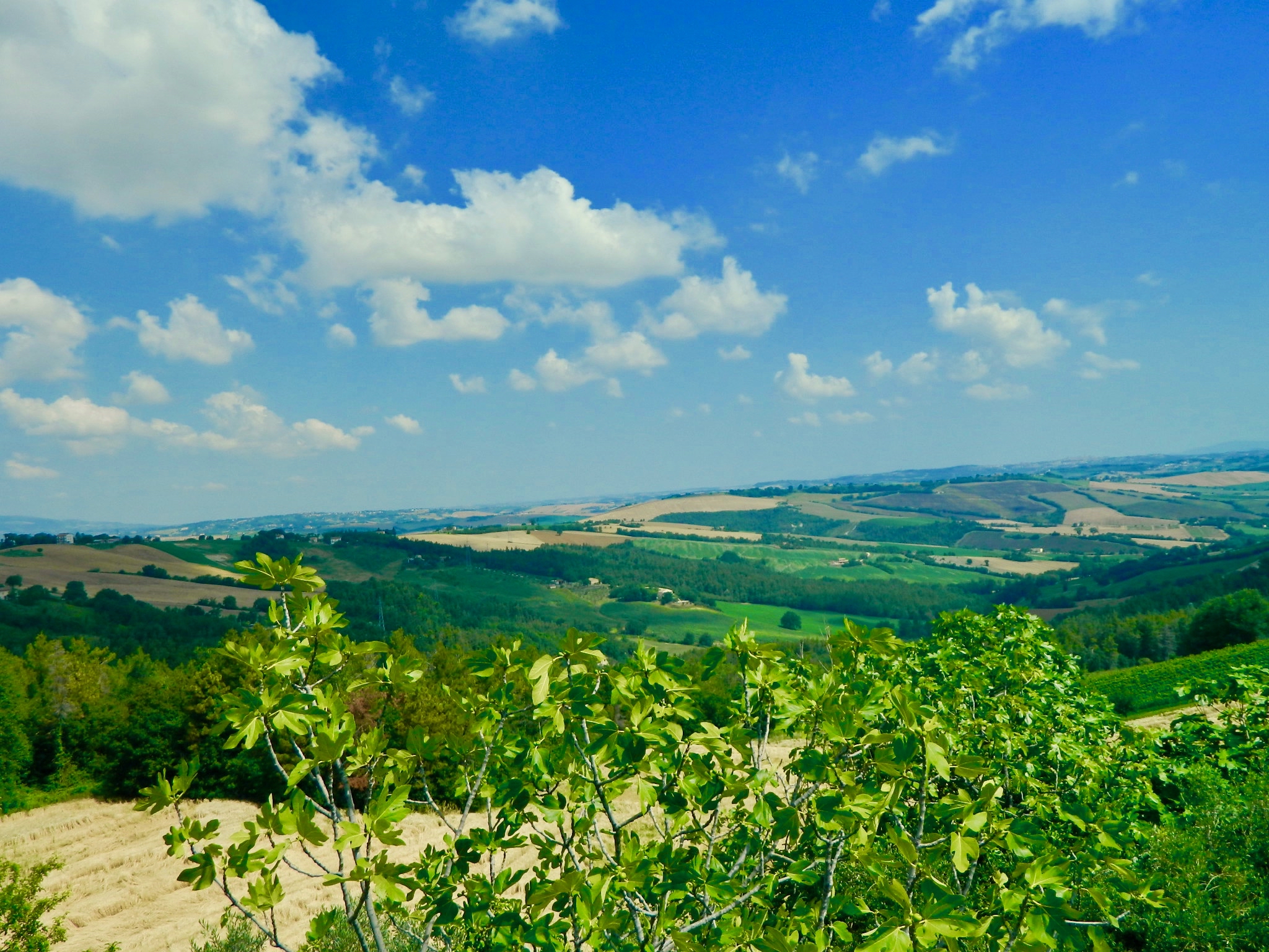 Lorese_image16PropertyForSaleMarche Property For Sale Marche