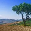 Sagezza_image13-Marche-Properties