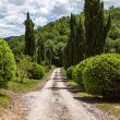 VillaVera_image23-Le-Marche-Properties