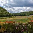 VillaVera_image26-Le-Marche-Properties