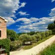 Falegname_image0010-Property-for-Sale-Marche