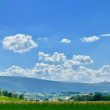 Falegname_image0013-Property-for-Sale-Marche