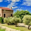 Falegname_image004-Property-for-Sale-Marche
