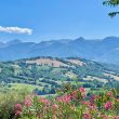 Oasi_image02-Property for Sale Marche