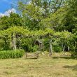 Pergolata_image02-Property For Sale Marche
