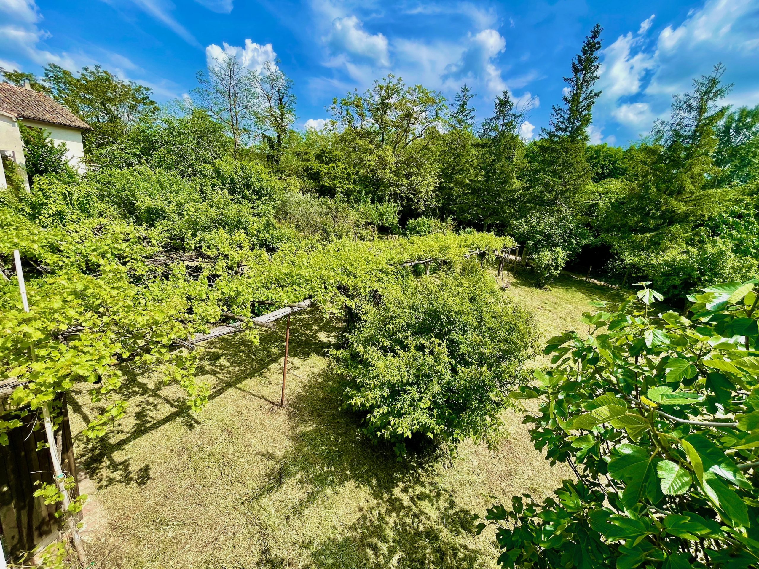 Pergolata_image11Property For Sale Marche Property For Sale Marche