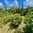 Pergolata_image12-Property For Sale Marche