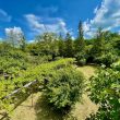 Pergolata_image13-Property For Sale Marche