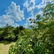 Pergolata_image19-Property For Sale Marche