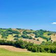 Felicità_image19-Property-For-Sale-Marche