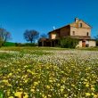 Campanaria_image04e-Property for Sale Marche
