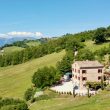 Cinghiale_image06-Property For Sale Marche