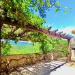 Collina_image16-Property For Sale Marche