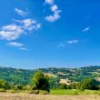 Campagna_image17-Property for Sale Marche