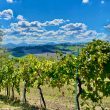 UNITA_image08-Property for Sale Marche