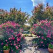 UNITA_image48-Property for Sale Marche
