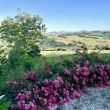 UNITA_image49-Property for Sale Marche
