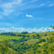 Artista_image11-Property For Sale Marche
