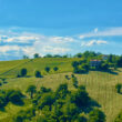 Artista_image12-Property For Sale Marche