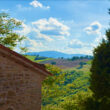 Artista_image13-Property For Sale Marche