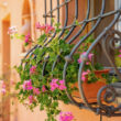 Piacere_image13-Property for Sale Marche