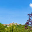 Piacere_image15-Property for Sale Marche