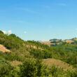 Piacere_image19-Property for Sale Marche