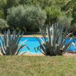 Piacere_image30-Property for Sale Marche