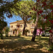 Verde Quiete_Image06-Property for Sale Marche