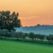 CURATEDIMAGES.COM